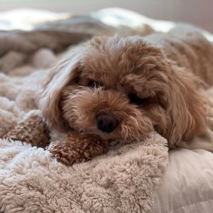 Meet your Posher, Alanna